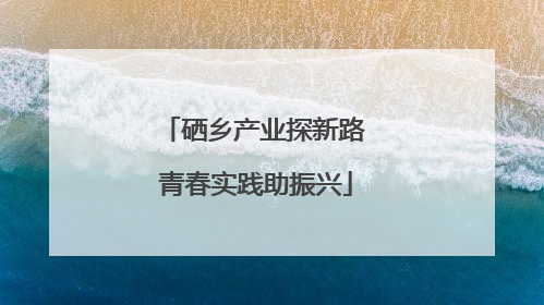 硒乡产业探新路 青春实践助振兴