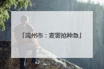 禹州市：麦罢抢种急