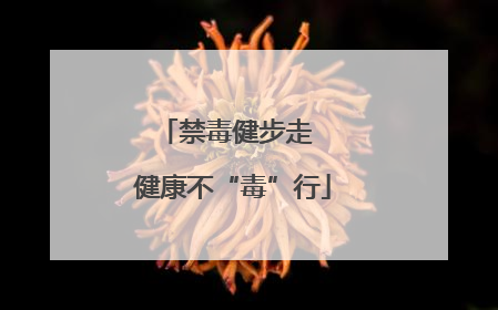 禁毒健步走  健康不“毒”行