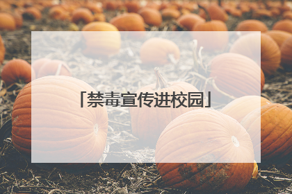 禁毒宣传进校园