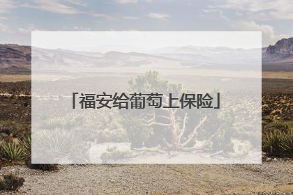 福安给葡萄上保险
