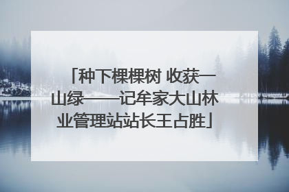 种下棵棵树 收获一山绿——记牟家大山林业管理站站长王占胜