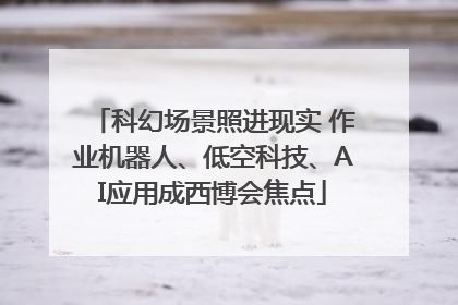 科幻场景照进现实 作业机器人、低空科技、AI应用成西博会焦点