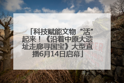 科技赋能文物“活”起来！《沿着中原大遗址走廊寻国宝》大型直播6月14日启幕
