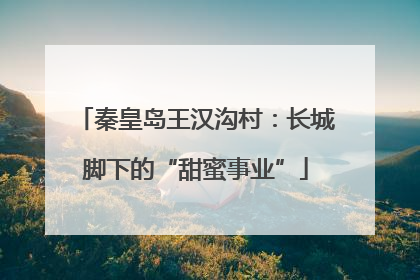 秦皇岛王汉沟村：长城脚下的“甜蜜事业”