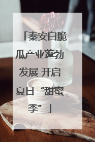 秦安白脆瓜产业蓬勃发展 开启夏日“甜蜜季”