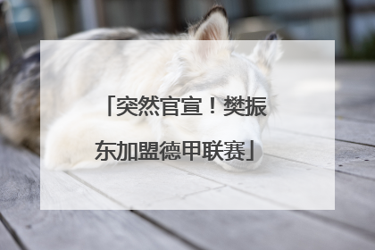 突然官宣！樊振东加盟德甲联赛