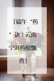 端午“药”诀！云南宁洱药根飘香