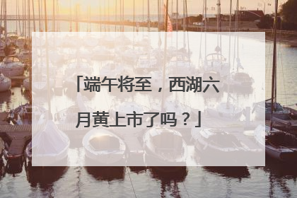 端午将至，西湖六月黄上市了吗？