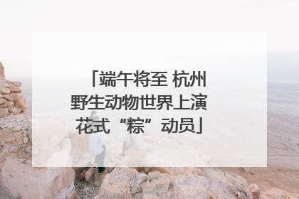 端午将至 杭州野生动物世界上演花式“粽”动员