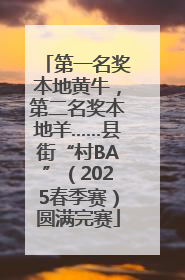 第一名奖本地黄牛，第二名奖本地羊……县街“村BA”（2025春季赛）圆满完赛