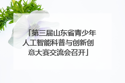 第三届山东省青少年人工智能科普与创新创意大赛交流会召开