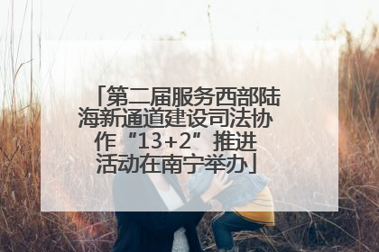第二届服务西部陆海新通道建设司法协作“13+2”推进活动在南宁举办