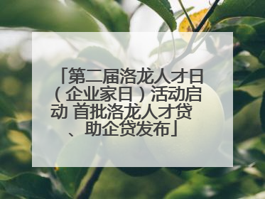 第二届洛龙人才日（企业家日）活动启动 首批洛龙人才贷、助企贷发布