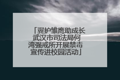翼护雏鹰助成长 武汉市司法局何湾强戒所开展禁毒宣传进校园活动