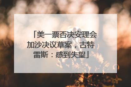 美一票否决安理会加沙决议草案，古特雷斯：感到失望