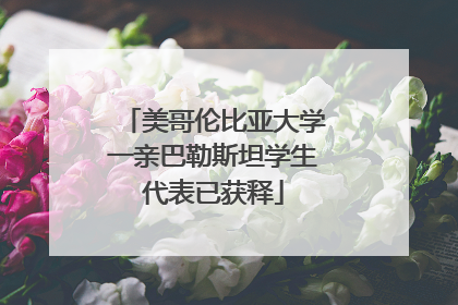 美哥伦比亚大学一亲巴勒斯坦学生代表已获释