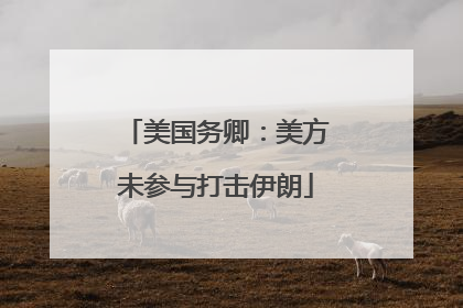 美国务卿：美方未参与打击伊朗