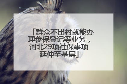 群众不出村就能办理参保登记等业务，河北29项社保事项延伸至基层