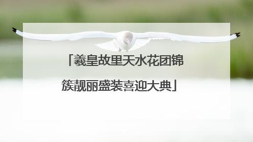 羲皇故里天水花团锦簇靓丽盛装喜迎大典