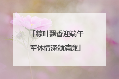 粽叶飘香迎端午 军休情深颂清廉