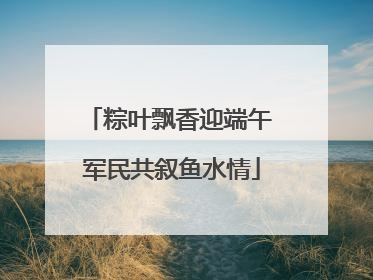 粽叶飘香迎端午 军民共叙鱼水情