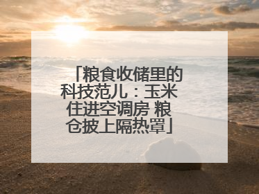粮食收储里的科技范儿：玉米住进空调房 粮仓披上隔热罩