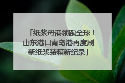 纸浆母港领跑全球！山东港口青岛港再度刷新纸浆装箱新纪录