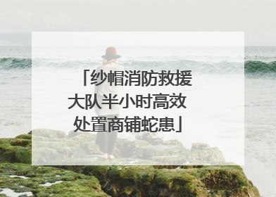 纱帽消防救援大队半小时高效处置商铺蛇患