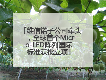 维信诺子公司牵头，全球首个Micro-LED阵列国际标准获批立项
