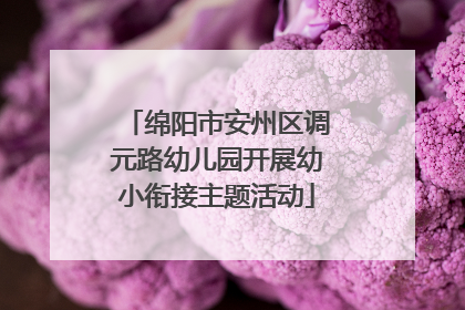 绵阳市安州区调元路幼儿园开展幼小衔接主题活动