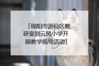 绵阳市游仙区教研室到云凤小学开展教学视导活动