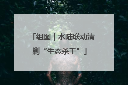 组图｜水陆联动清剿“生态杀手”