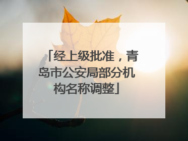 经上级批准，青岛市公安局部分机构名称调整