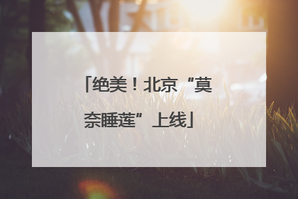 绝美！北京“莫奈睡莲”上线