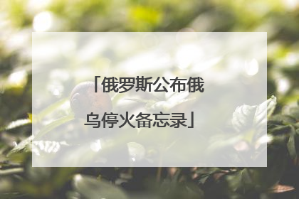 俄罗斯公布俄乌停火备忘录