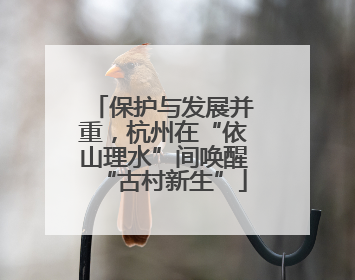 保护与发展并重，杭州在“依山理水”间唤醒“古村新生”