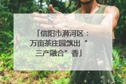 信阳市浉河区：万亩茶庄园飘出“三产融合”香