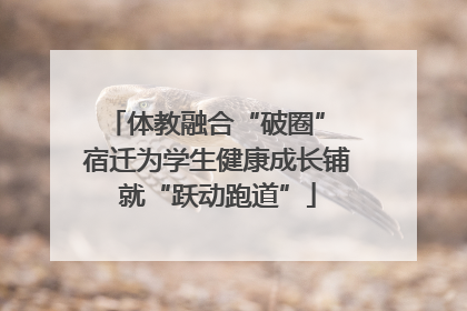 体教融合“破圈” 宿迁为学生健康成长铺就“跃动跑道”