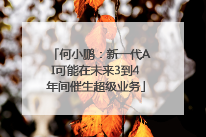 何小鹏：新一代AI可能在未来3到4年间催生超级业务