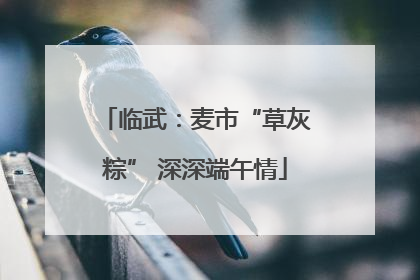临武：麦市“草灰粽” 深深端午情