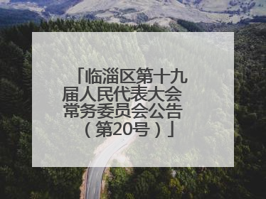 临淄区第十九届人民代表大会常务委员会公告（第20号）