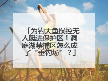为钓大鱼操控无人艇进保护区！洞庭湖禁捕区怎么成了“垂钓场”？