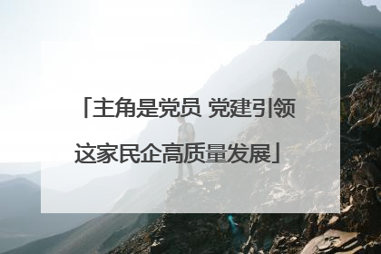 主角是党员 党建引领这家民企高质量发展