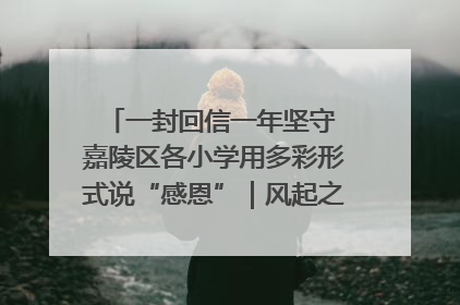 一封回信一年坚守 嘉陵区各小学用多彩形式说“感恩”｜风起之江 扶摇直上