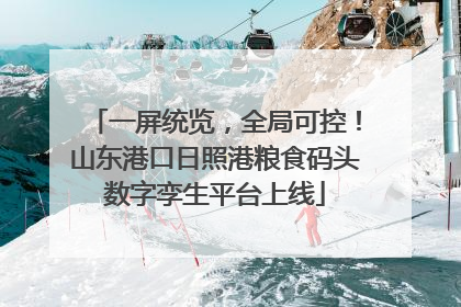 一屏统览，全局可控！山东港口日照港粮食码头数字孪生平台上线