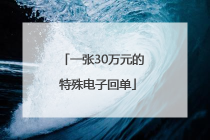 一张30万元的特殊电子回单