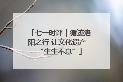 七一时评｜循迹洛阳之行 让文化遗产“生生不息”