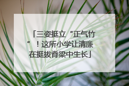三姿挺立“正气竹”！这所小学让清廉在挺拔脊梁中生长