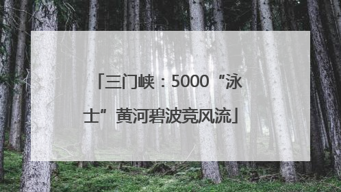 三门峡：5000“泳士”黄河碧波竞风流